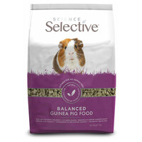 Science Selective Guinea Pig