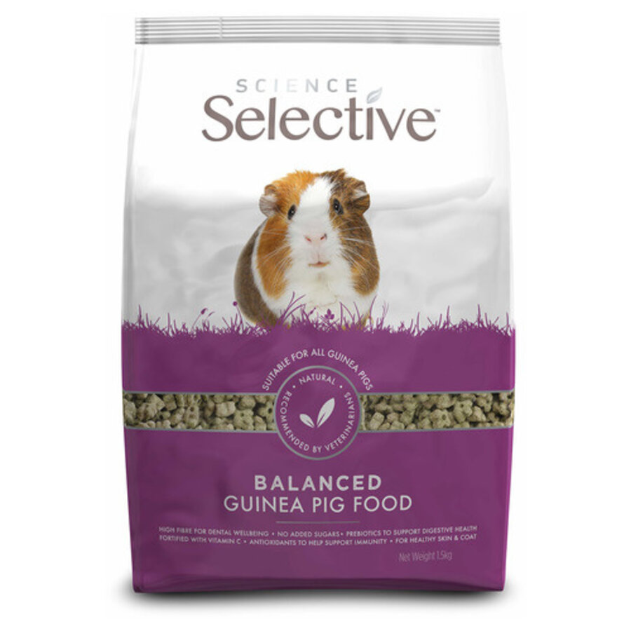 Science Selective Guinea Pig