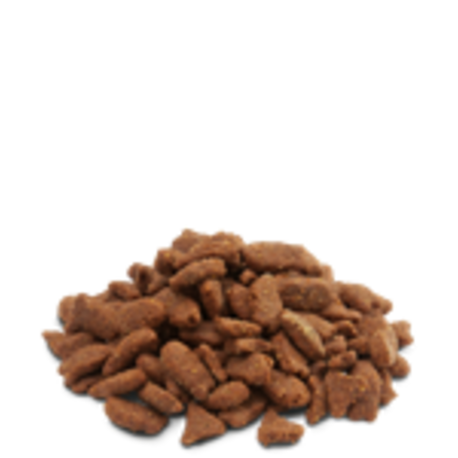 Pellets Ferrets