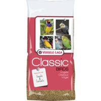 Tropische Vogels 20KG