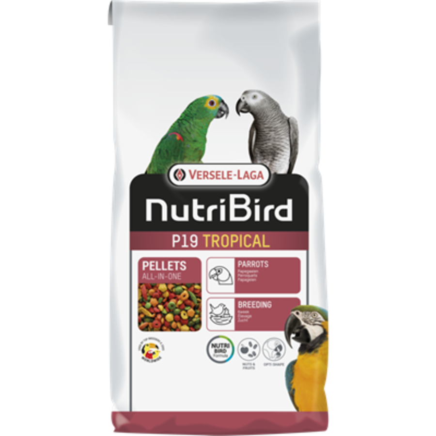 P19 Tropical Papegaai Kweekvoer 10KG