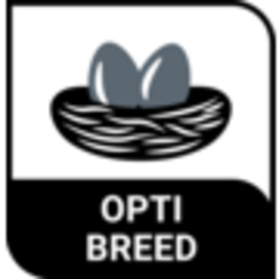 P19 Original Papegaai Kweekvoer 10KG