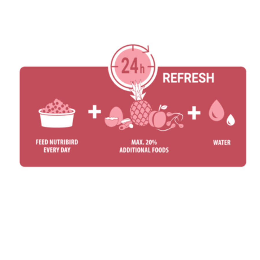 P19 Original Papegaai Kweekvoer 10KG