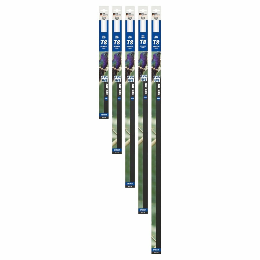 Zone 1 Uvi 0.5/Bird T8 Lamp 2.4% UVB 18W/600MM
