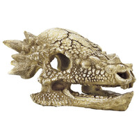 Skull T Rex M