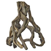 Mangrove Wortel S