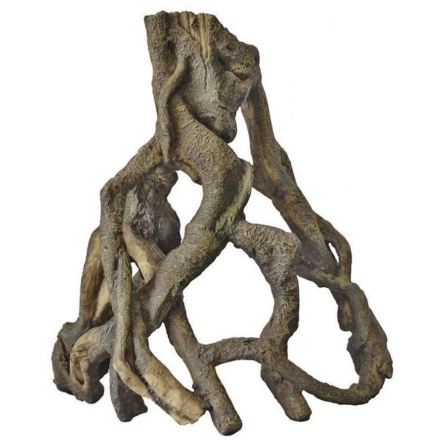 Mangrove Wortel S