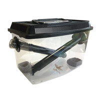 Krekelbak 30x19x20CM met afsluitbare kokers voor krekels en sprinkhanen