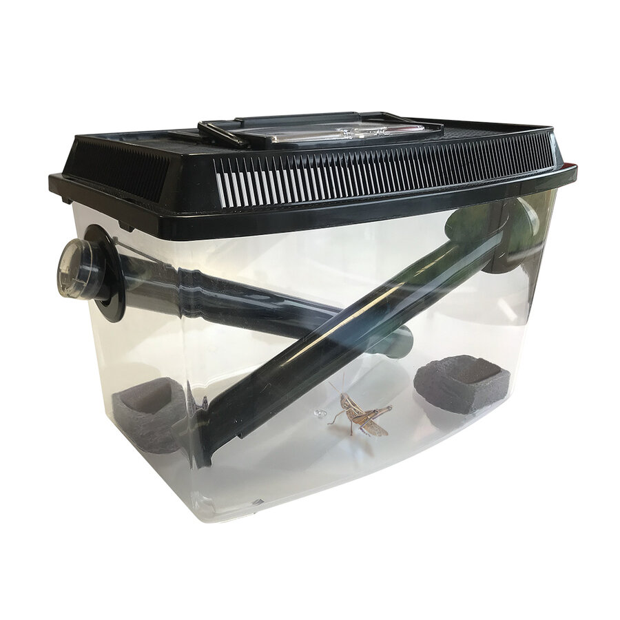 Krekelbak 30x19x20CM met afsluitbare kokers voor krekels en sprinkhanen
