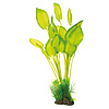 Art Plant 40CM Echinodorus
