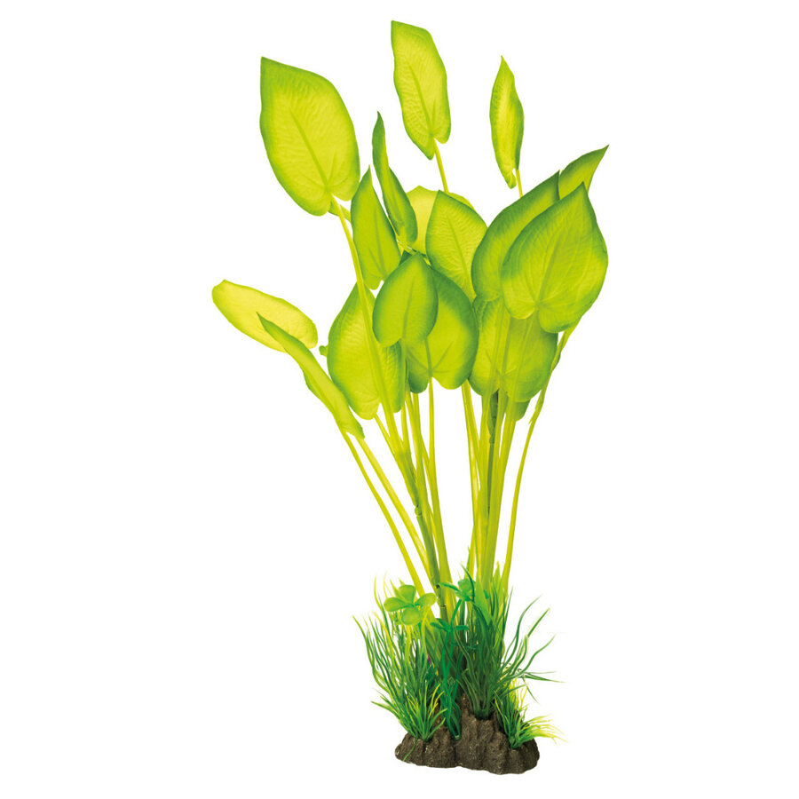 Art Plant 40CM Echinodorus