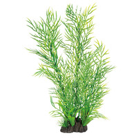 Art Plant 40CM Ceratopteris