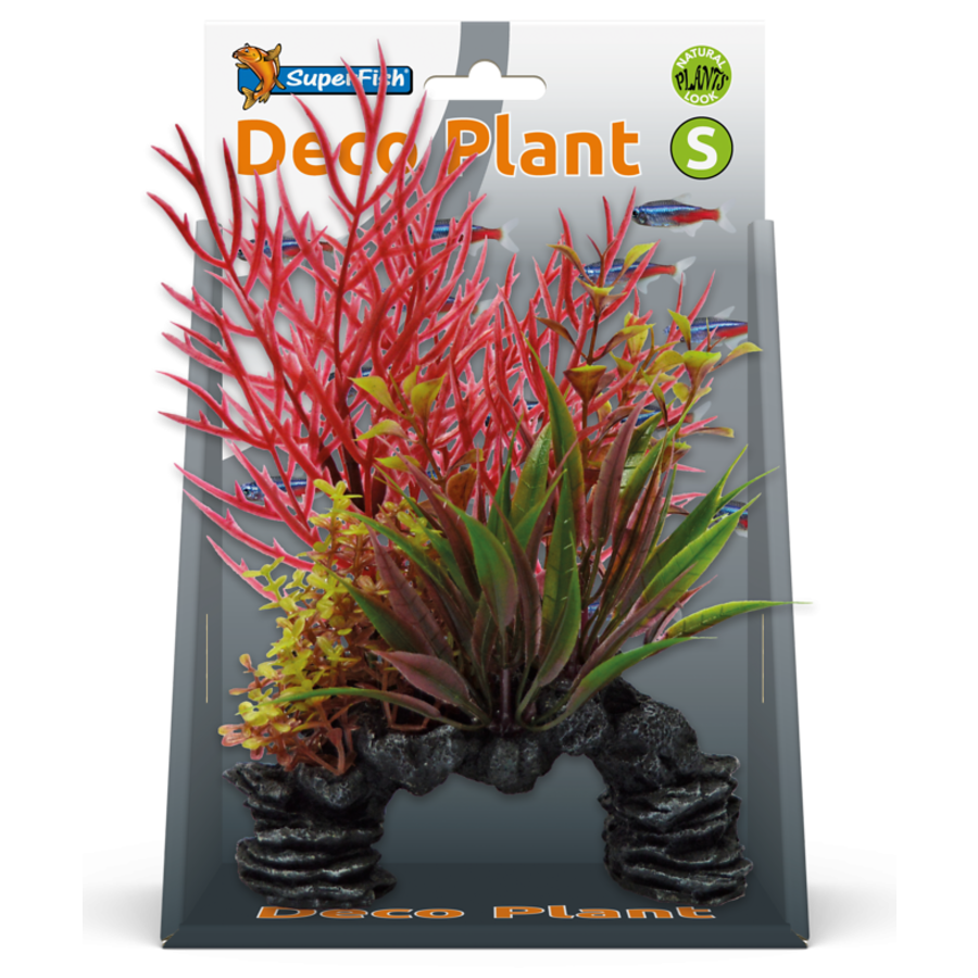 Deco Plant S Ludwigia