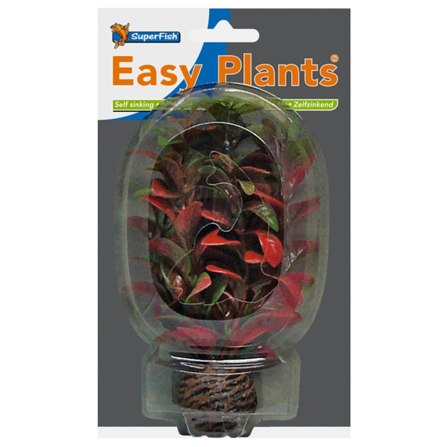Easy Plants Laag 13CM Nr. 7