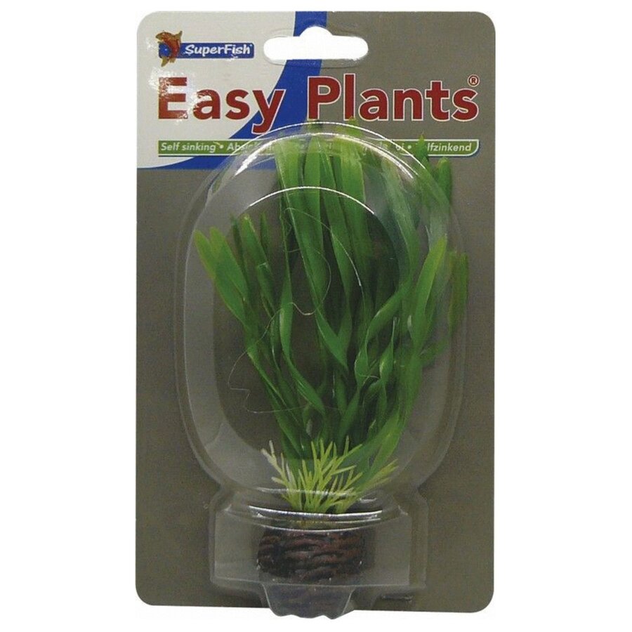 Easy Plants Laag 13CM Nr. 6
