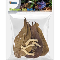 Biotope Set Betta