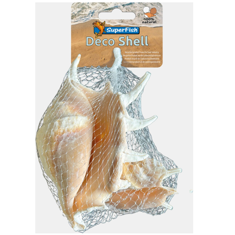 Deco Schelp Spider 200 Gram