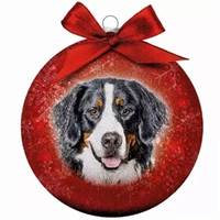 Kerstbal Frosted Berner Sennen Rood 10 cm