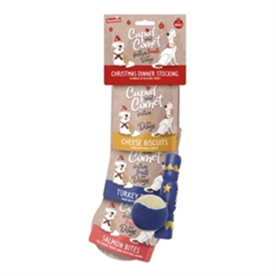 Kerstdiner Kerstsok Hond