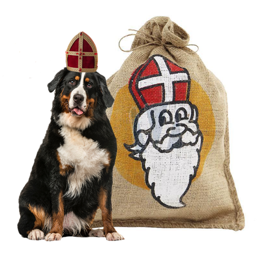 Sinterklaas verrassingszak voor grote honden