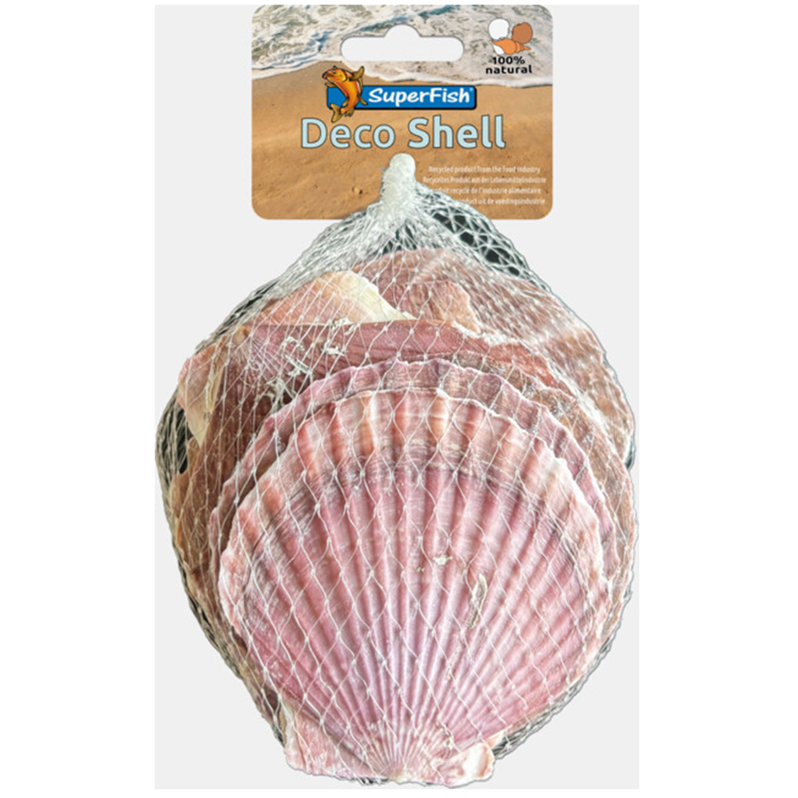 Decoratieschelpen paars | 200 gram | aquariumdecoratie voor bodem en scape