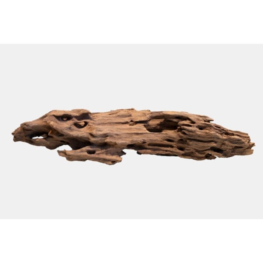 Honeycomb Wood Large | aquarium decoratiehout circa 40 cm