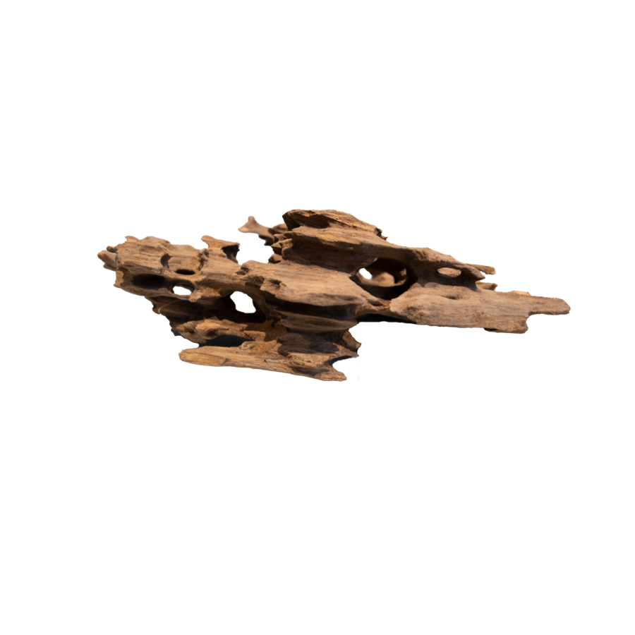 Honeycomb Wood aquarium decoratiehout | Small ca. 20 cm | natuurlijke schuilplaats
