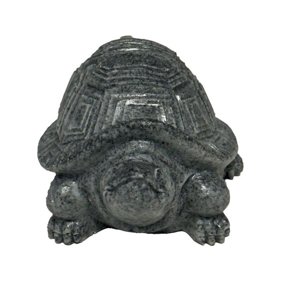 Eco Deco Tortoise