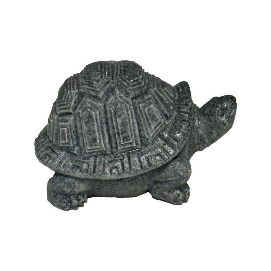 Eco Deco Tortoise