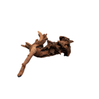 Mangrove Aged Wood aquariumhout