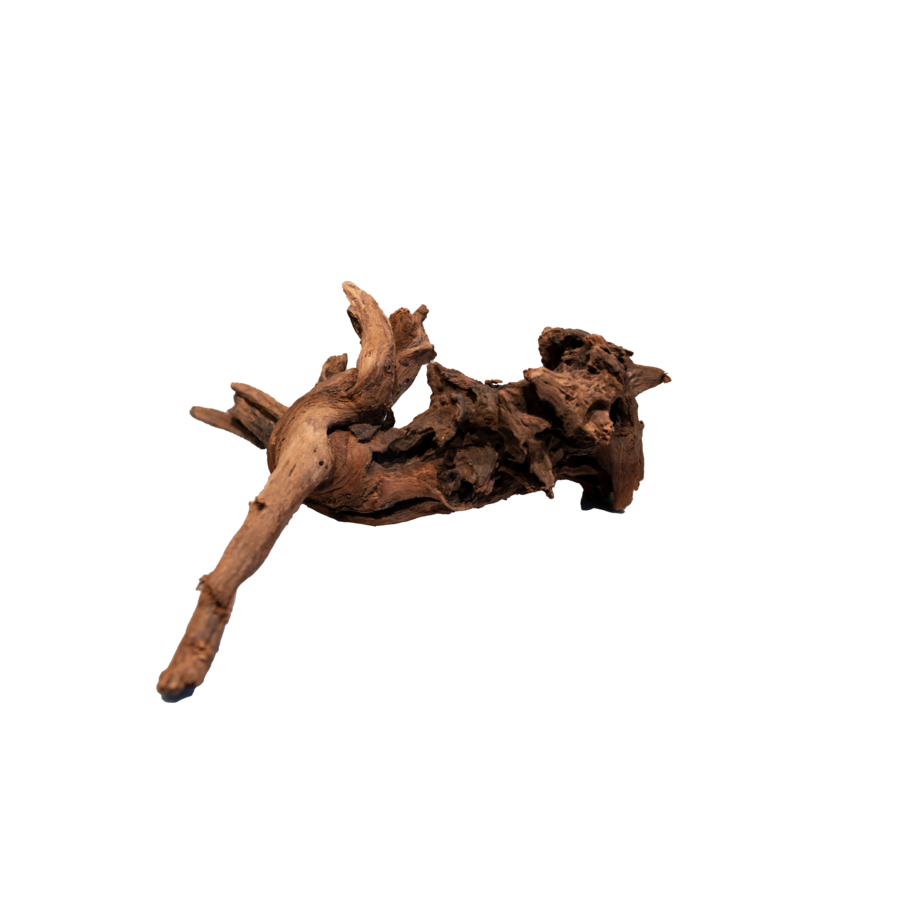 Mangrove Aged Wood aquariumhout