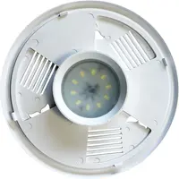LED Wit