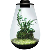 Drop 285 zwart nano plantenterrarium 5,1L met LED en ventilatie