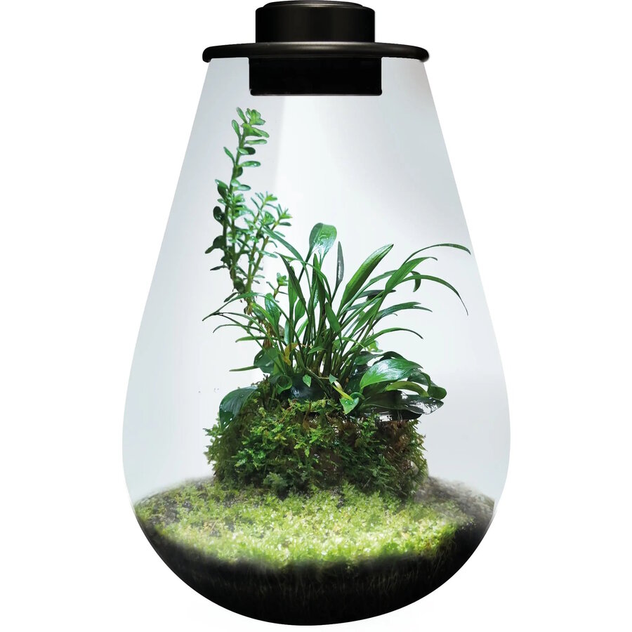 Drop 285 zwart nano plantenterrarium 5,1L met LED en ventilatie