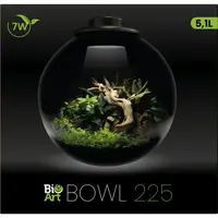 Bowl 225 Zwart 5,1 liter LED nano garden plantenterrarium