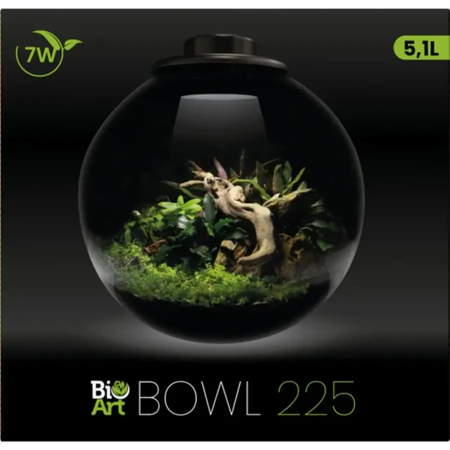 Bowl 225 Zwart 5,1 liter LED nano garden plantenterrarium