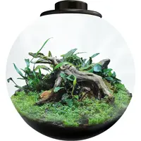 Bowl 225 Zwart 5,1 liter LED nano garden plantenterrarium