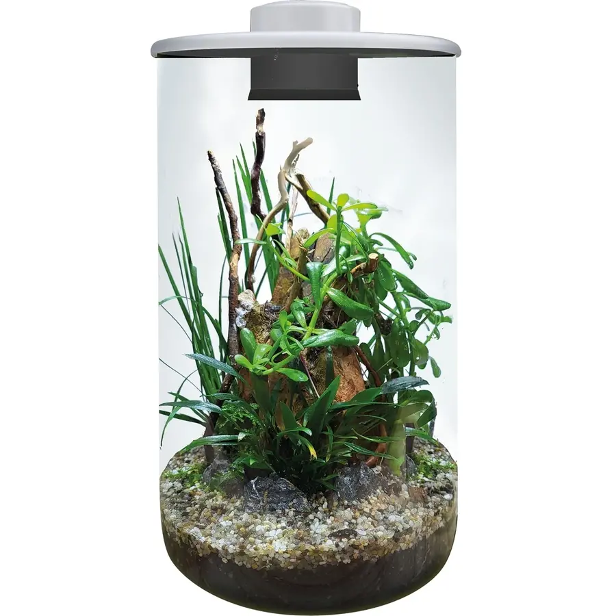 Cylinder 285 wit 4 liter glazen plantenterrarium met LED, timer en ventilatie