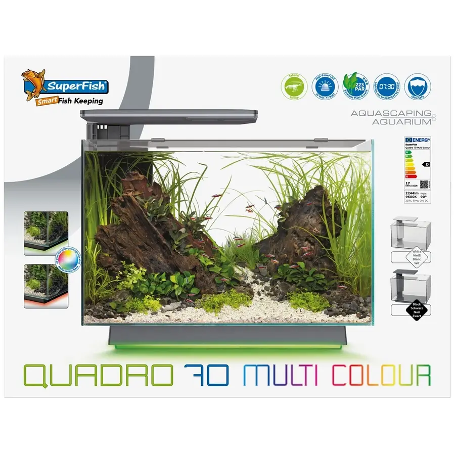 Quadro 70 Multi Colour Zwart | 55 x 35 x 45,7CM