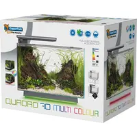 Quadro 70 Multi Colour Zwart | 55 x 35 x 45,7CM