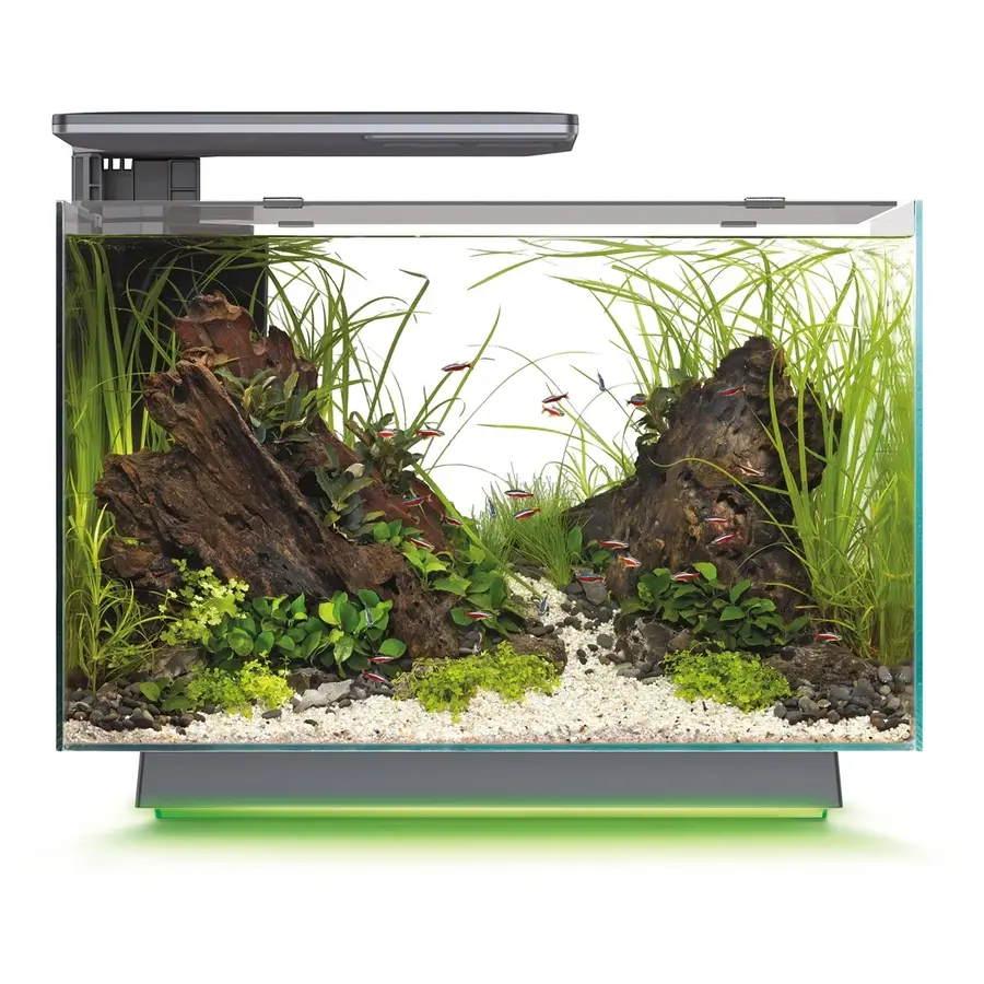 Quadro 70 Multi Colour Zwart | 55 x 35 x 45,7CM