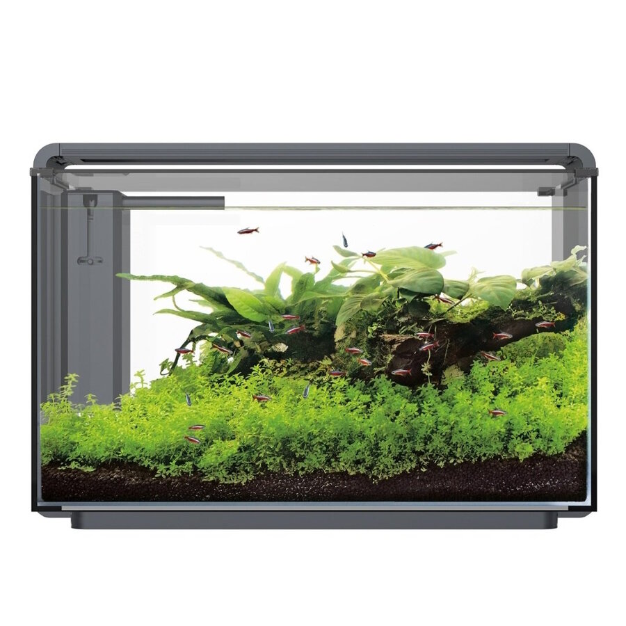 Home ProLED 85 Aquarium Zwart | 80L | 65 x 40 x 42,7 CM