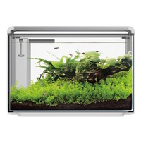 Home ProLED 65 Aquarium Wit