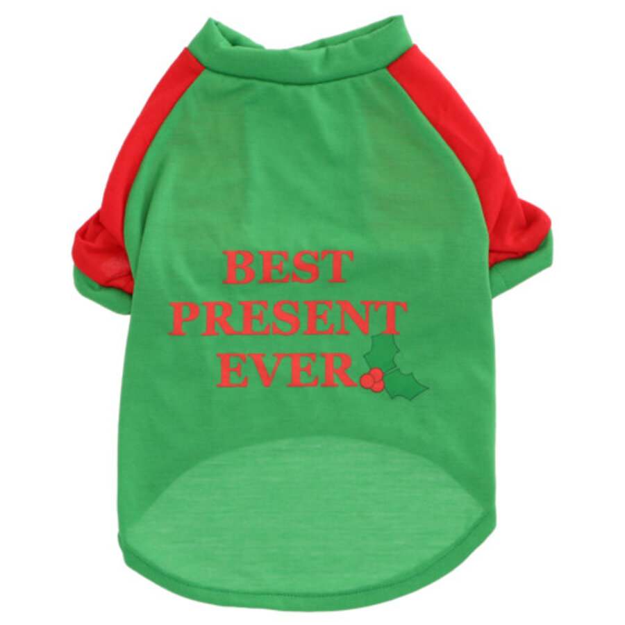 Kersttrui Groen/Rood