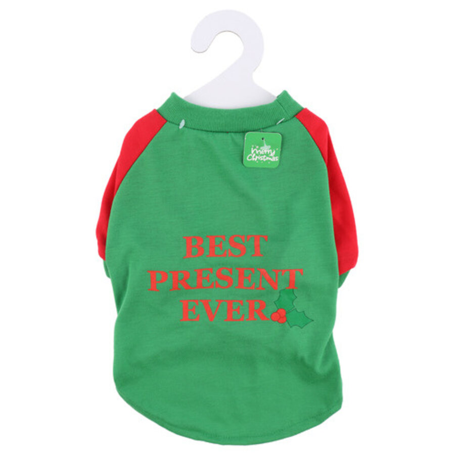 Kersttrui Groen/Rood