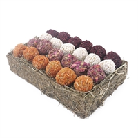 Advent Gift ‘N’ Forage Truffel Schaal
