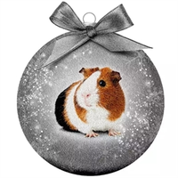 Kerstbal Frosted Cavia Zilver 10 cm
