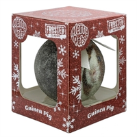Kerstbal Frosted Cavia Zilver 10 cm