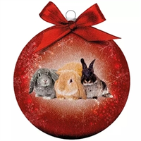Kerstbal Frosted Konijnen Rood 10 cm