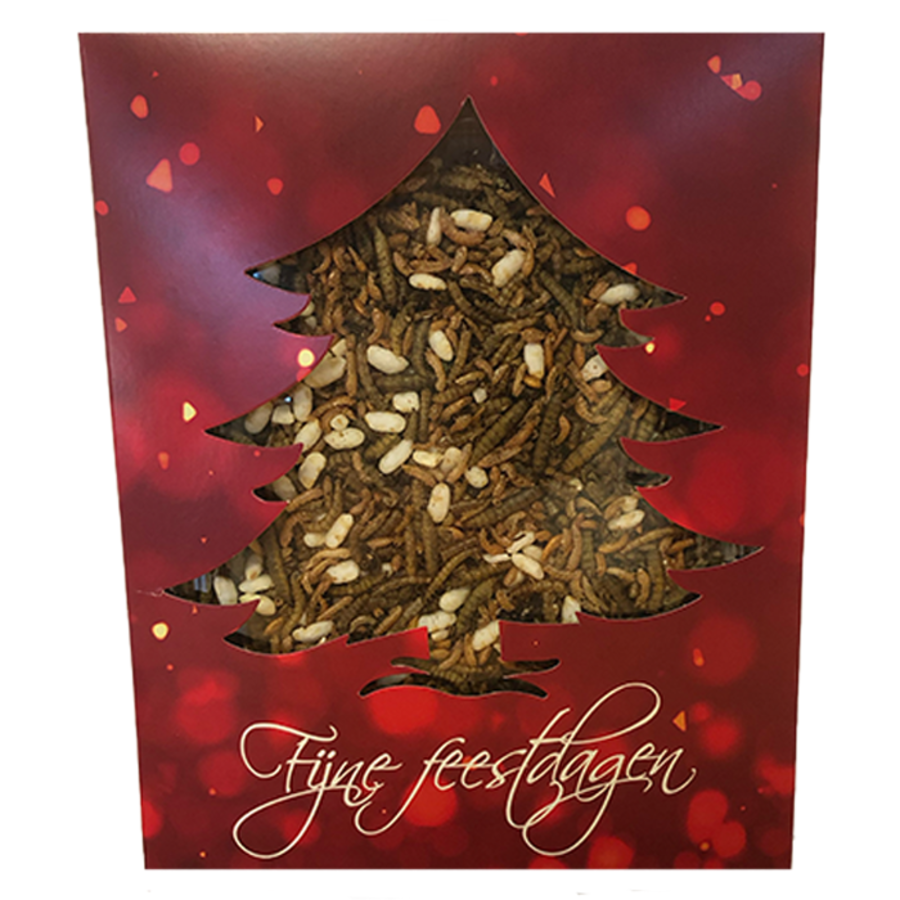 Kerst Doosje met Insectenmix voor Reptielen